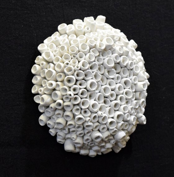 Coral - 3D Coral Reef Wall Sculpture