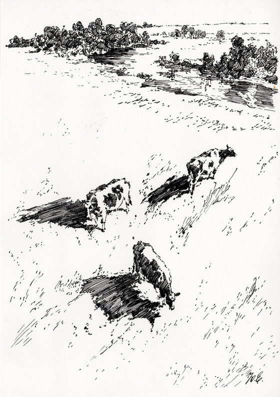 Cows in a Meadow