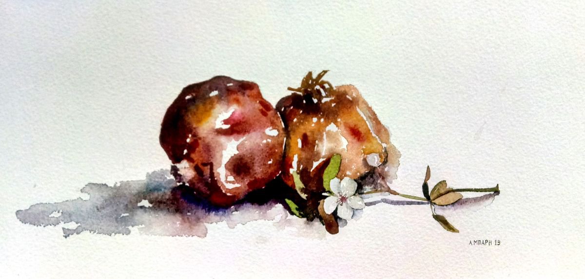 Still life with pomegranates by Alexandra Bari