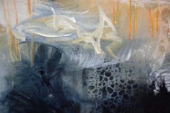 Discover the Journey