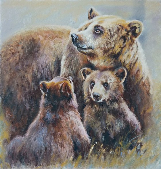 Young Bears