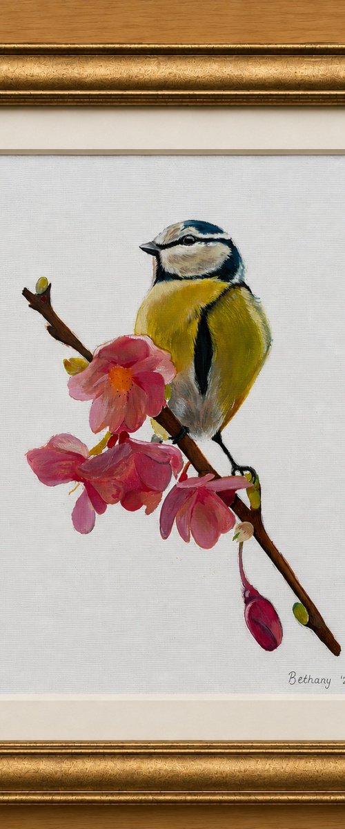 Blue tit oil painting by Bethany Taylor