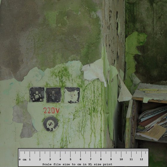 #79. Pripyat Kindergarten Green Room 1 - XL size