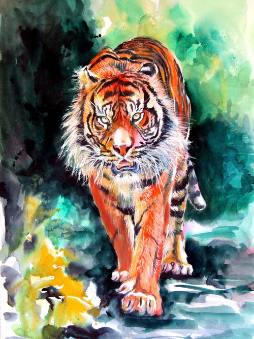 Tiger in forest by Kovács Anna Brigitta