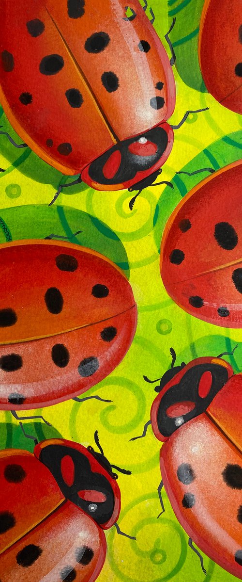 LADYBUGS by Johnny Karwan