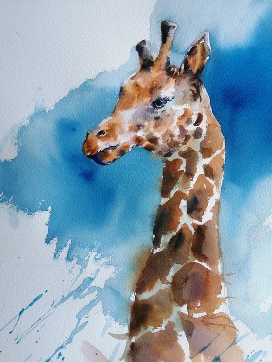 giraffes 8