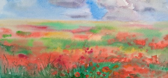 Field of Poppies