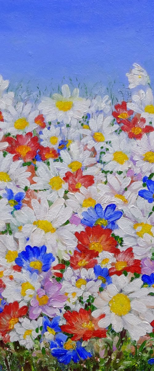Daisies. by Anastasia Woron