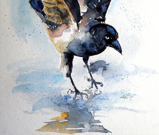 Crow on ice
