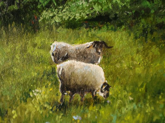 Sheep in a Meadow