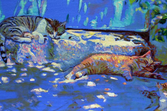 Kitty’s in Provence #1