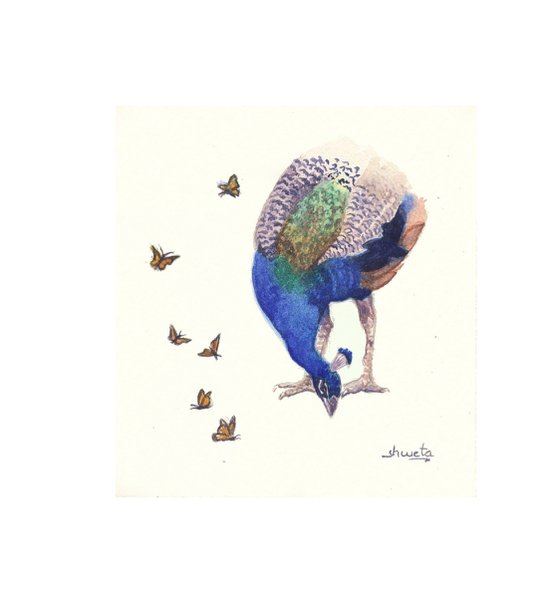 Peacock and butterfly