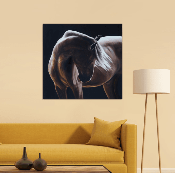 Equine light