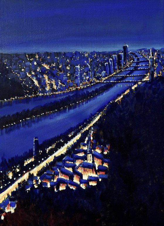 Vienna at night (from Leopoldsberg, 1190)⁠  - City Lights