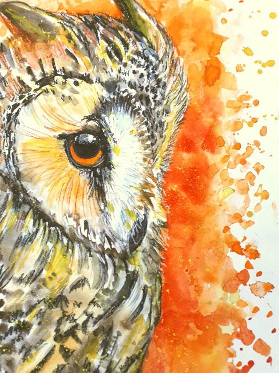 "Autumn owl"