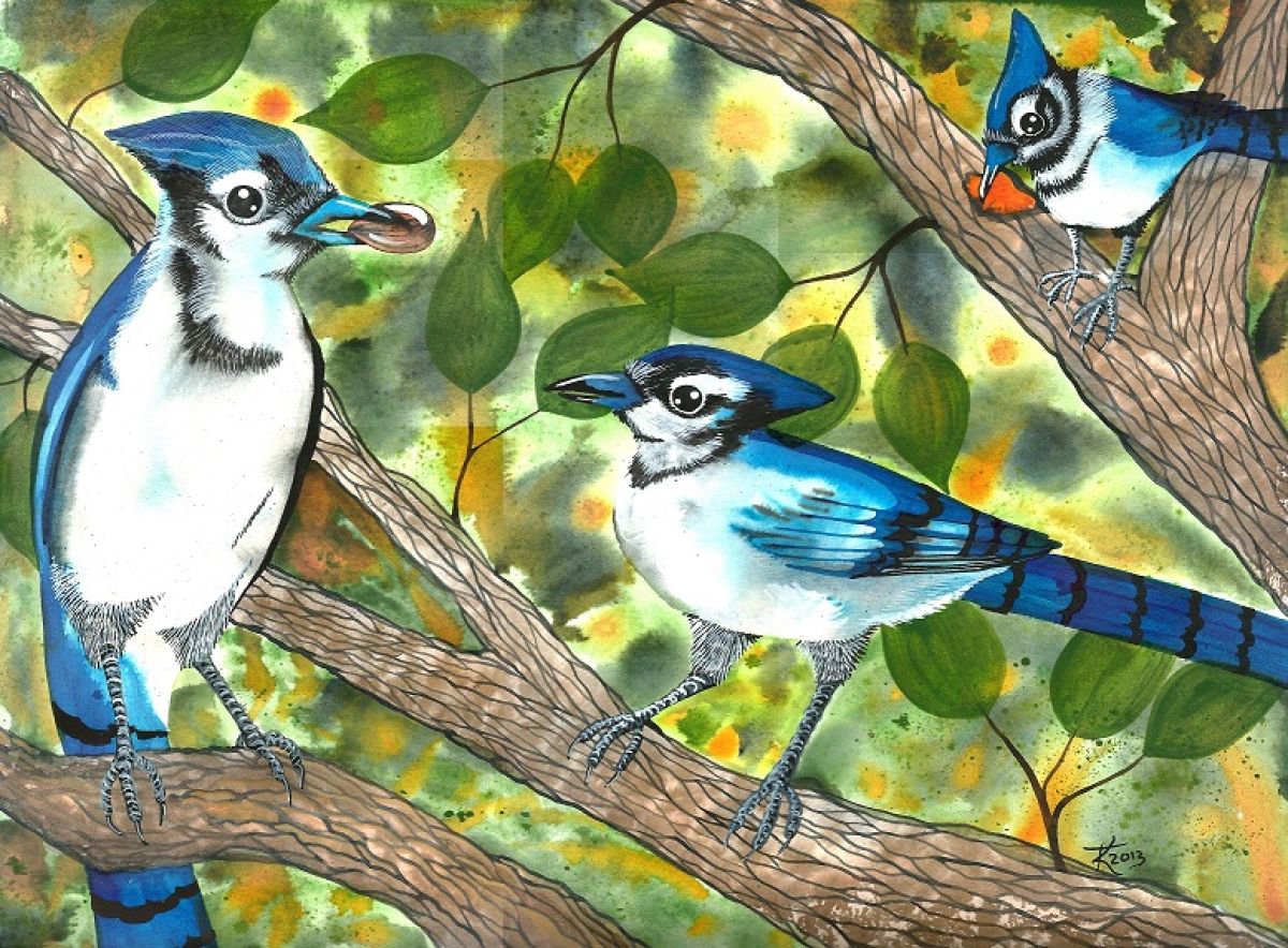Three Blue Jays by Terri Kelleher