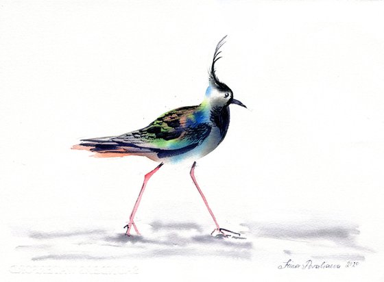 Lapwing, walking to 2021, 37,5x27,5 cm watercolor, still life with bright bird, gift idea, medium