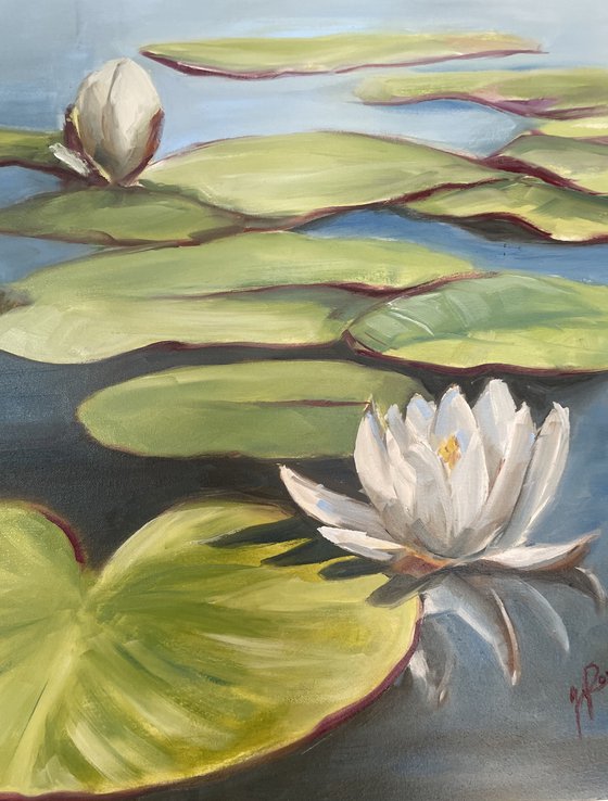 Water Lilies