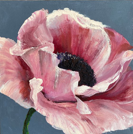 Pink poppy original flower painting on canvas