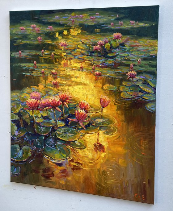 "Water lilies"
