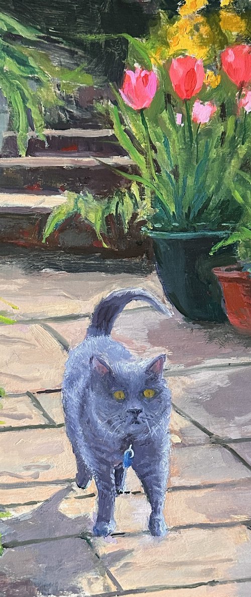 Spring Stroll by Toni Swiffen