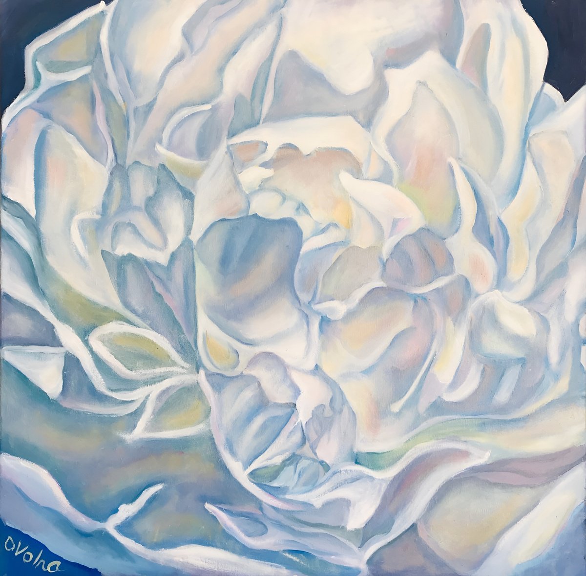 White peony by Olga Volna