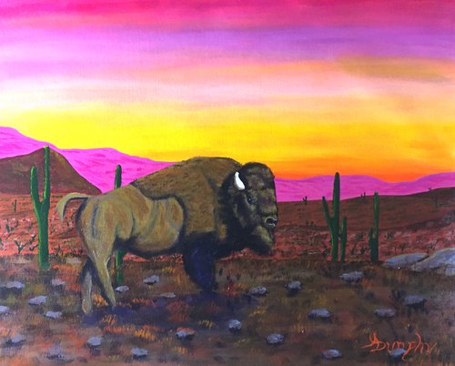 Western Sunset by Dunphy Fine Art