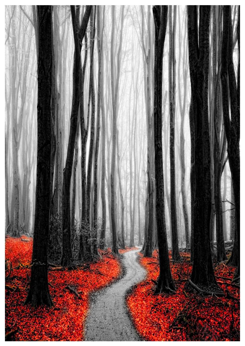 Red Leafs IV by Neil Hemsley