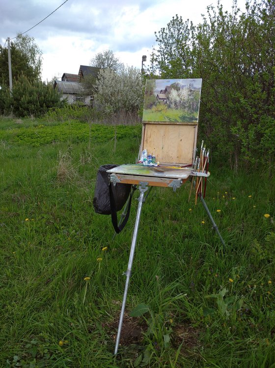 In the May Sun