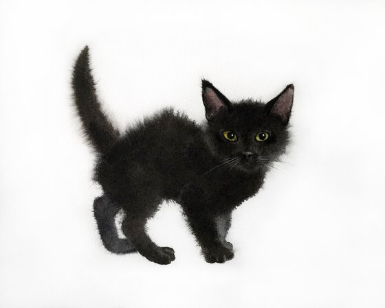 Set 2 Black Kitten