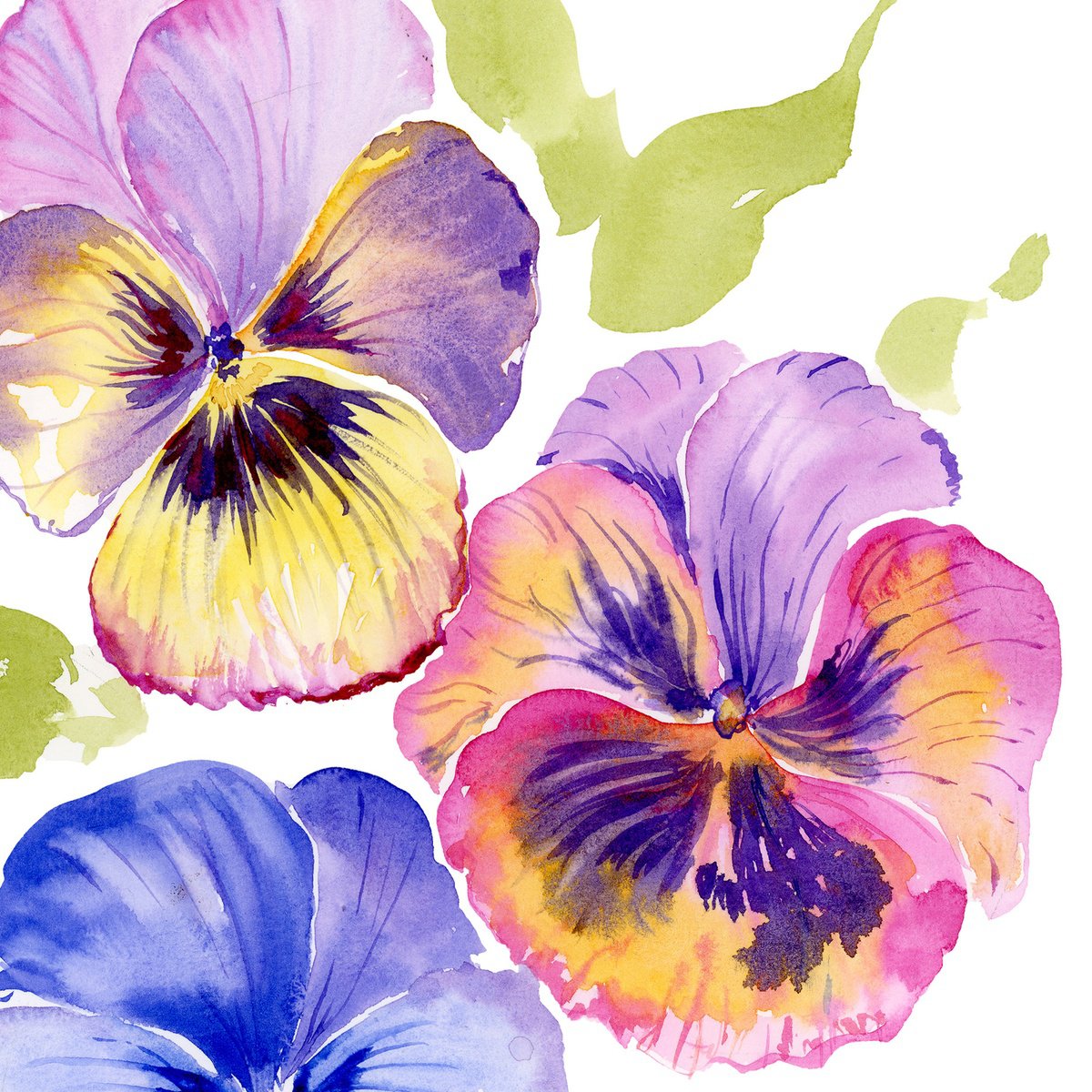 Bright Pansies watercolor by Olga Koelsch