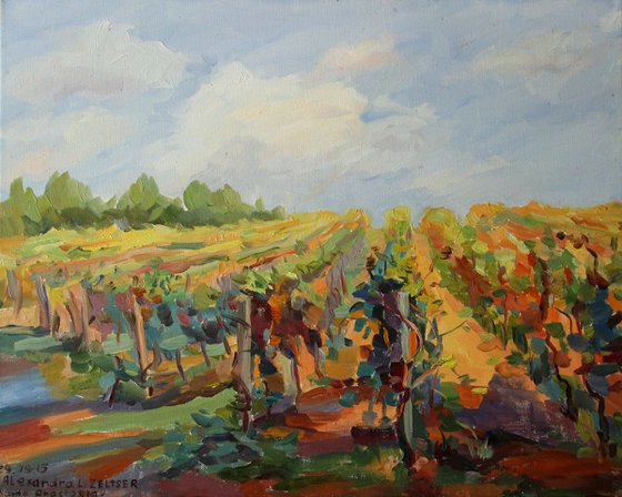 vineyard landscape italy