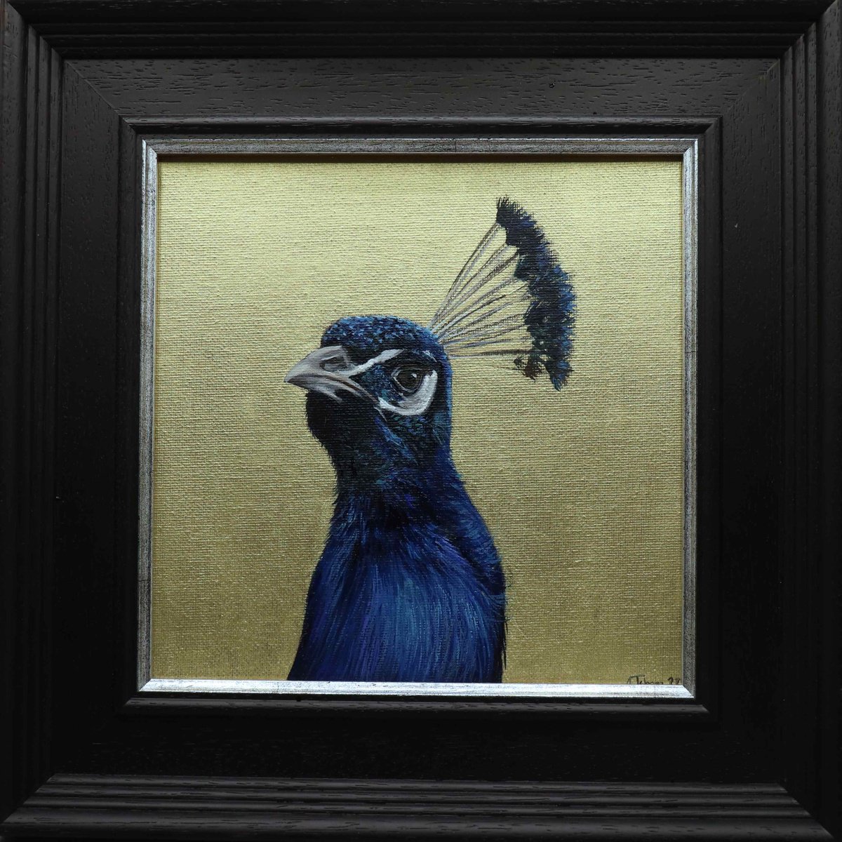 Peacock Portrait III by Alex Jabore