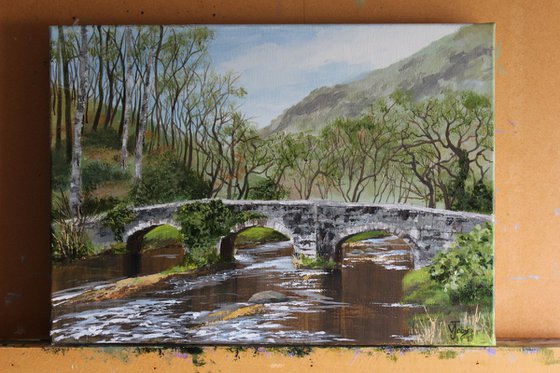 Fingle Bridge