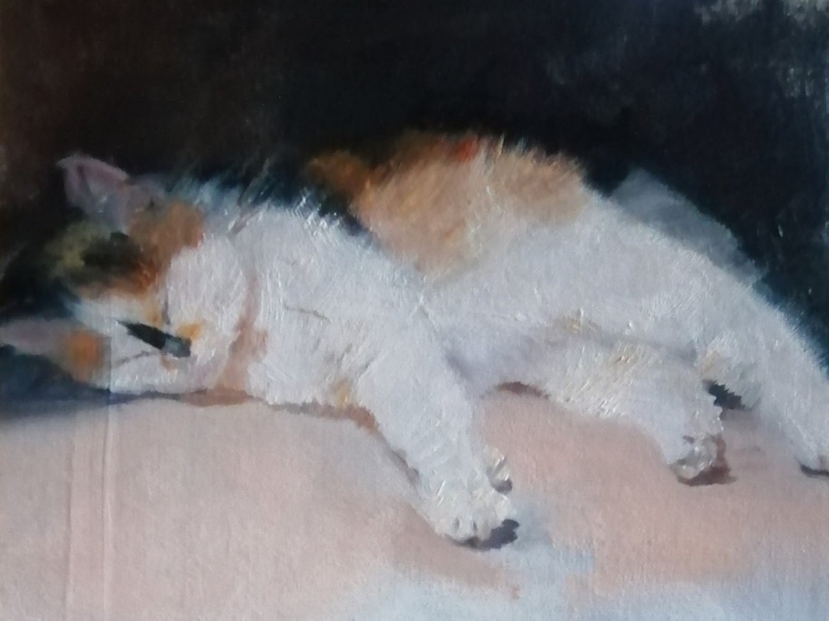 Impressionistic Animal Oil Painting By Rosemary Burn, 12 X 10", Cornish Kitty, Original Artwork
