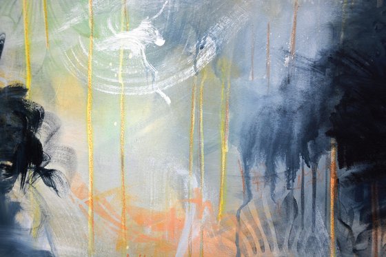 Discover the Journey