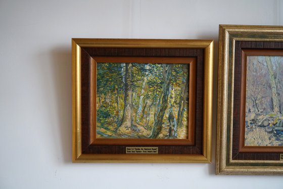 September. Forest. Surroundings of Ilyinki