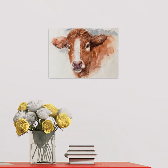 Brown Cow_ Midsummer Gaze