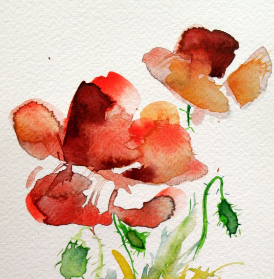 Little poppies