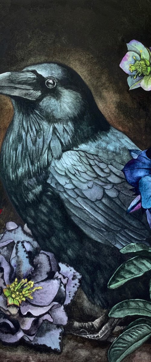 Odin's Raven by Lisa Lennon