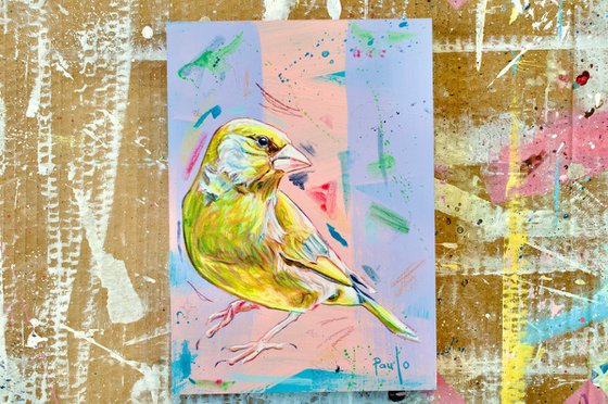 Greenfinch