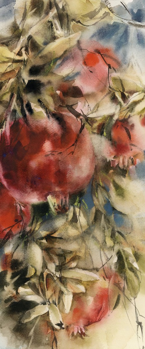 Pomegranates by Sophie Rodionov