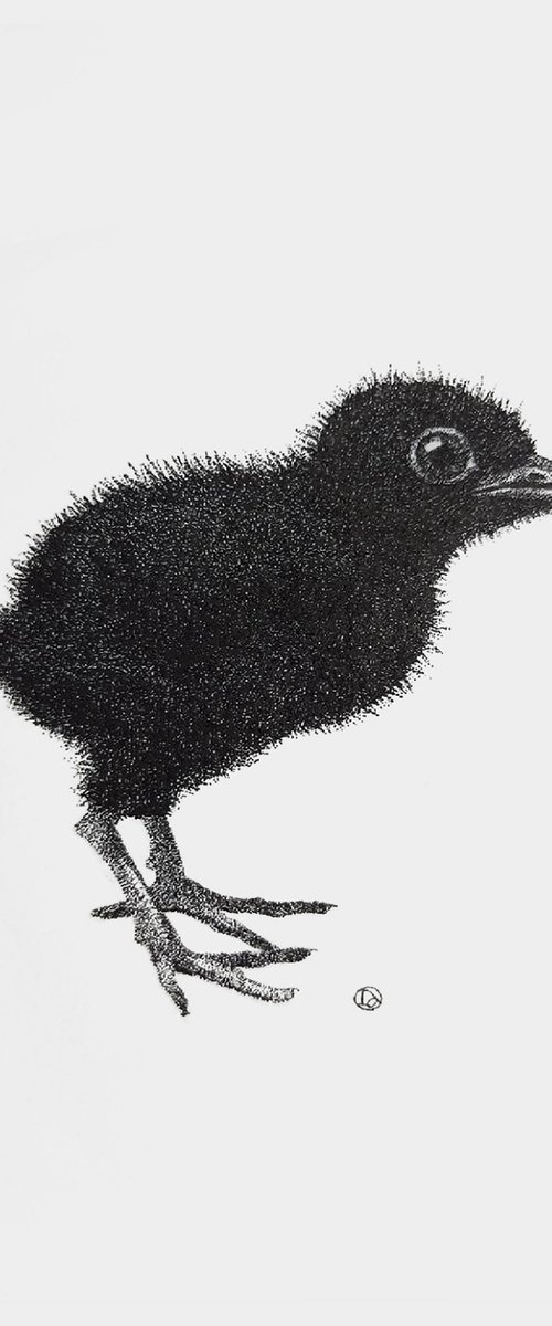 Little Raven by Iana Cherepanska