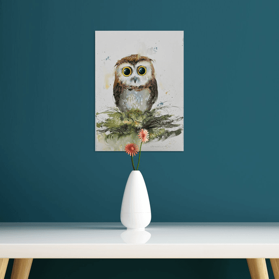 The Curious Owl