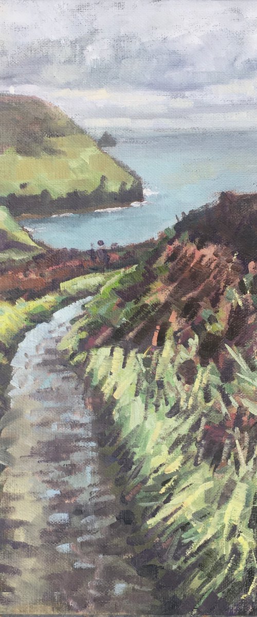 Path to Boscastle by Louise Gillard