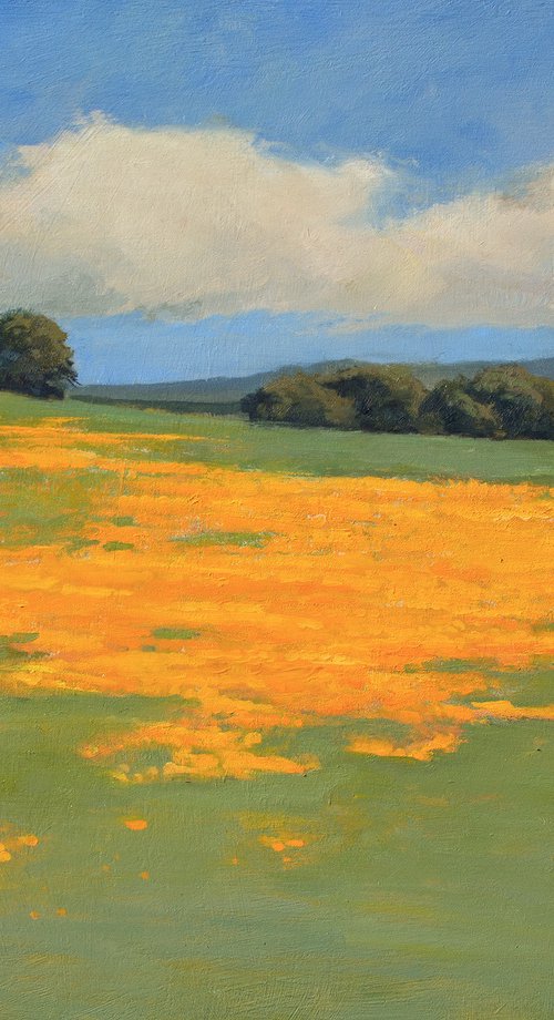 Hillside Poppies 240304 by Don Bishop