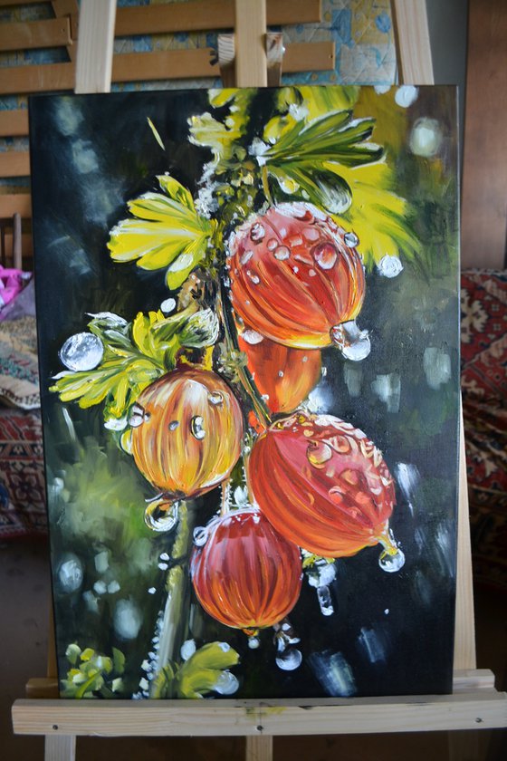 Gooseberry Lanterns