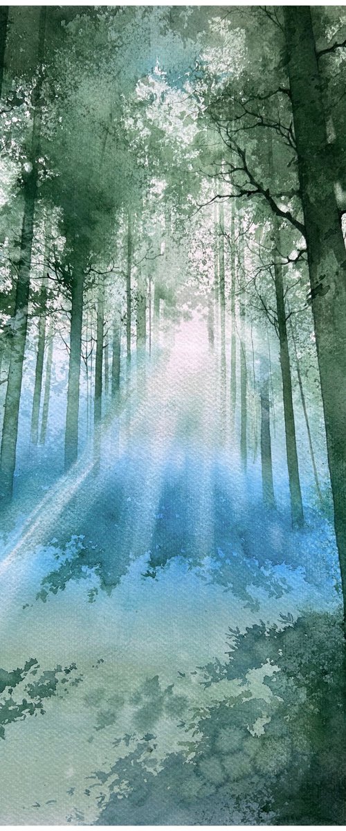 Morning in the forest by Nazar Grunyka