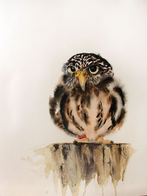 Baby Owl II /  ORIGINAL PAINTING