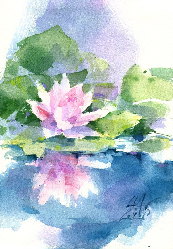 Pink Lotus. Melody of river